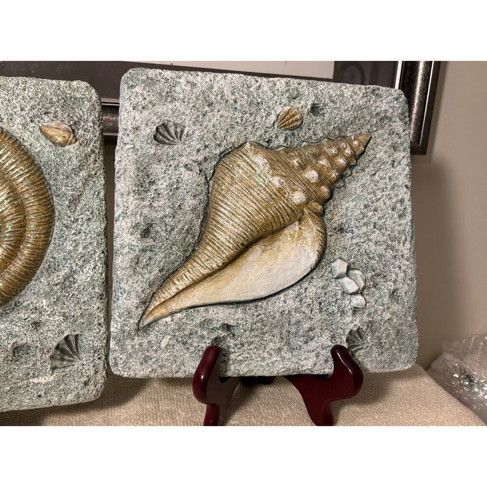 Wall plaques / Sea Shells - Picture 2 of 6
